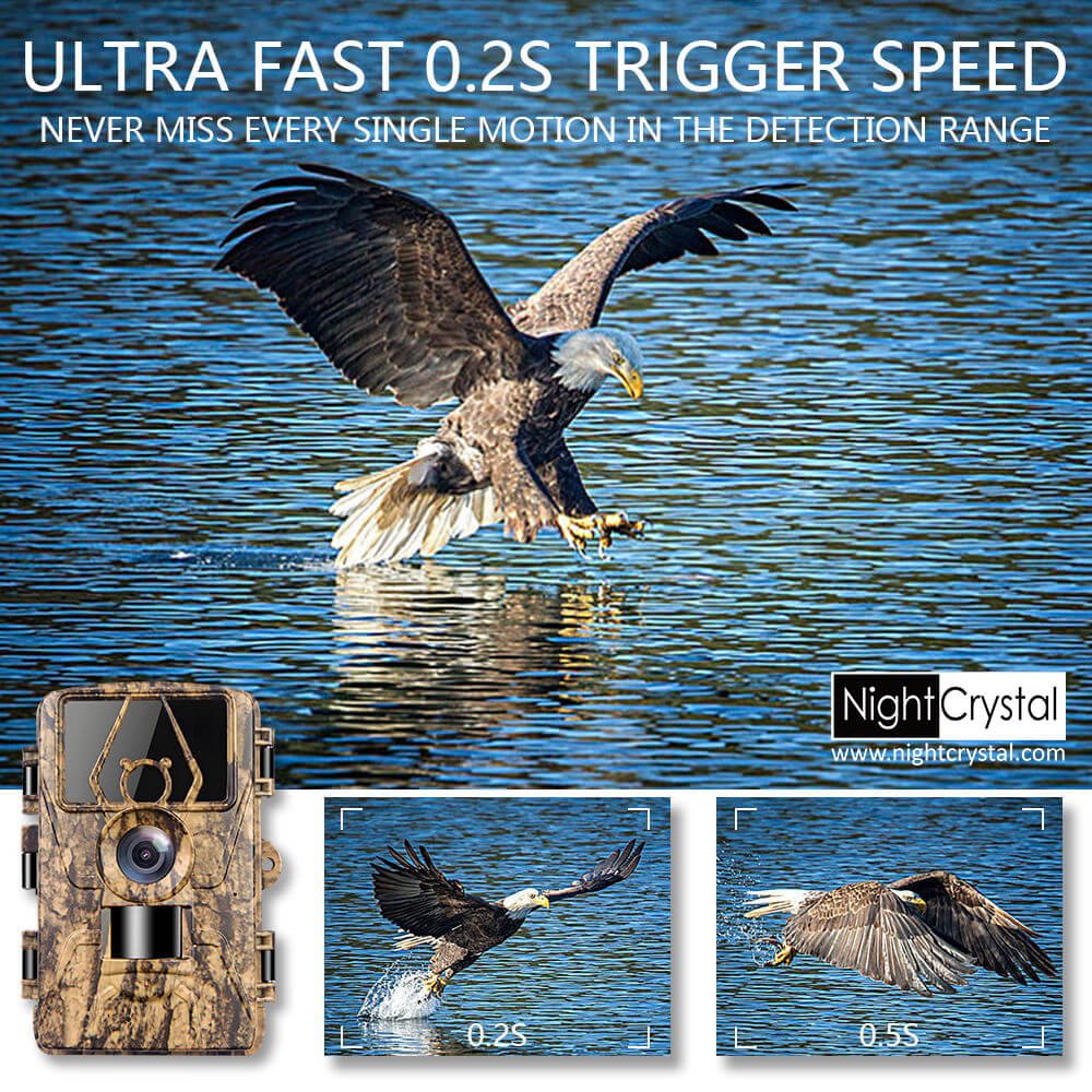 Trail Camera 8K WiFi Game Camera Motion Activated with APP Control, 120° Wide Angle, 0.2s Trigger, IR Night Vision for Hunting-12